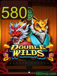 Explorando o Fascinante Jogo DoubleWilds: Descrição, Introdução e Regras